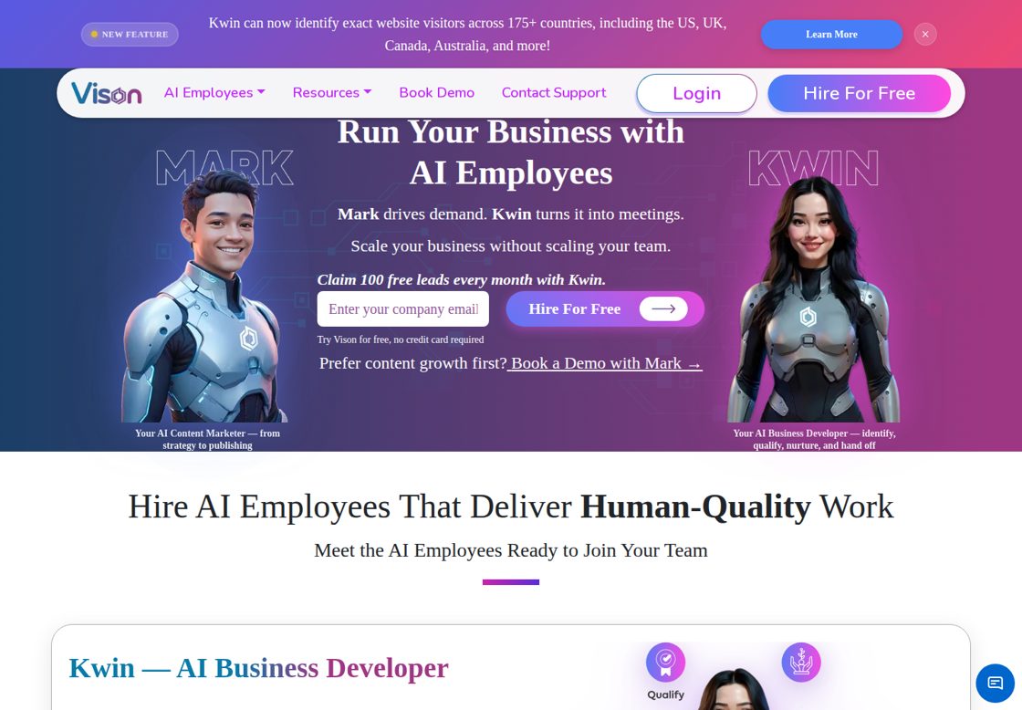 Vison AI homepage, first screen